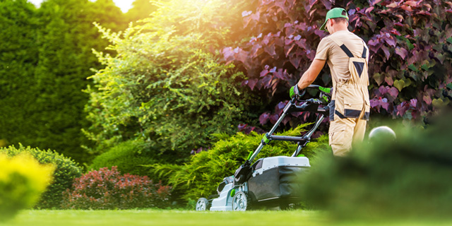 Gartenhilfe für Senioren finden! MeinZuhause und ich